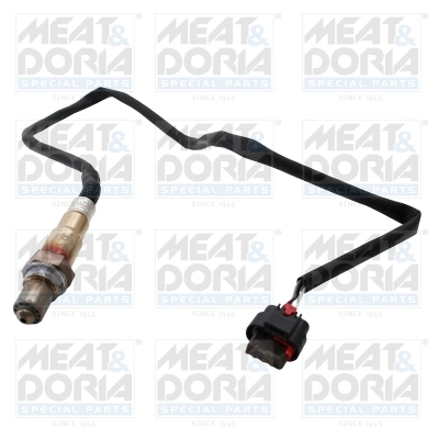 Oxygen Sensor